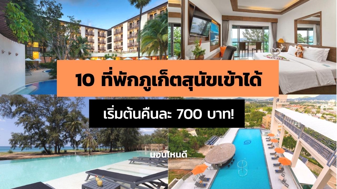 10 ที่พักภูเก็ต สุนัขเข้าได้ ราคาถูก เริ่มต้นแค่คืนละ 700 บาท!