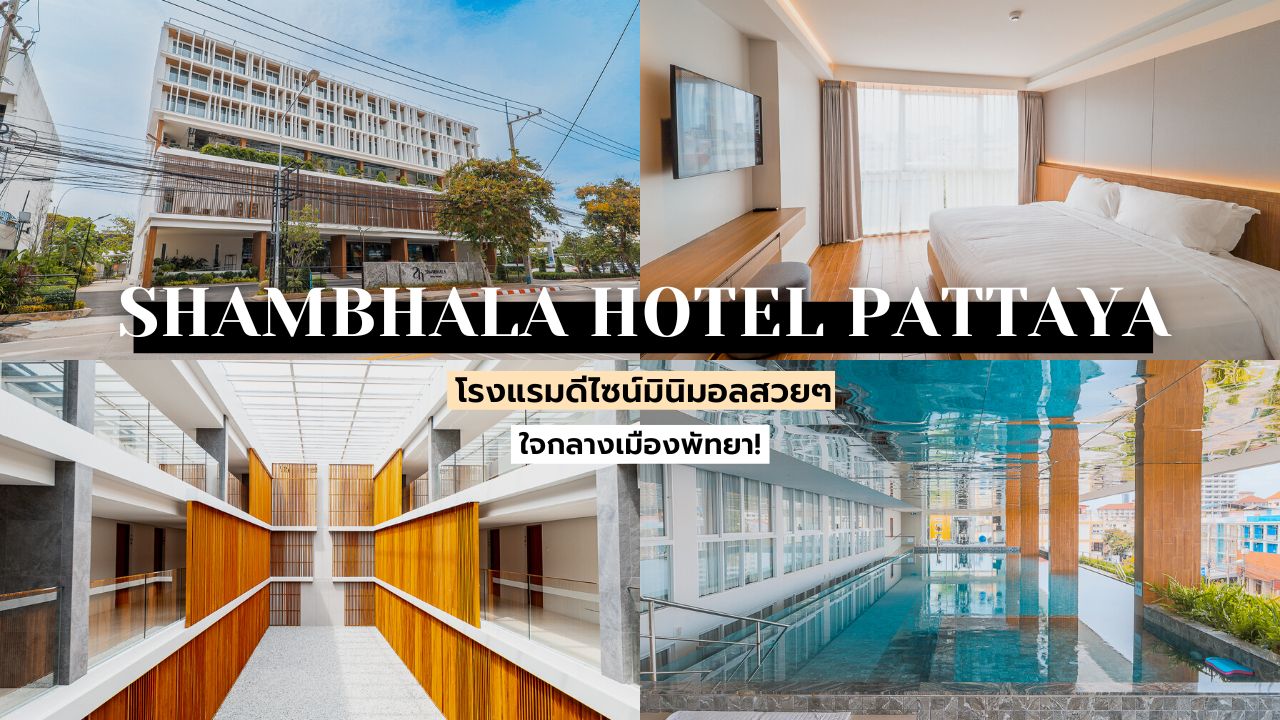 รีวิว!! Shambhala Hotel Pattaya โรงแรมดีไซน์มินิมอลสวยๆ ใจกลางเมืองพัทยา! -  นอนไหนดี